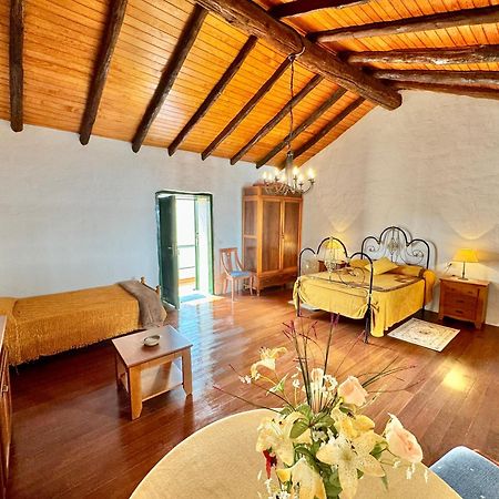 Guanche 'Casa Rural Canaria' San Miguel de Abona Zewnętrze zdjęcie
